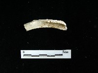 陶壺藏品圖，第1張