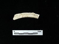 陶壺藏品圖，第2張