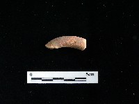 陶把藏品圖，第2張