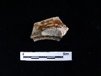 陶壺藏品圖，第1張