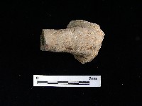 壺嘴藏品圖，第2張
