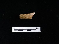 陶把藏品圖，第1張