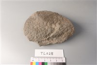 石片器藏品圖，第4張