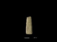 矛鏃形器藏品圖，第1張