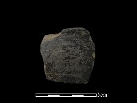 陶片藏品圖，第1張