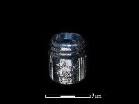 玻璃罐藏品圖，第2張