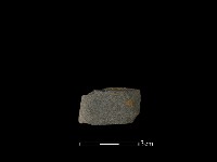 矛鏃形器藏品圖，第1張
