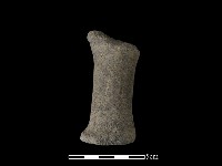 獸足藏品圖，第1張
