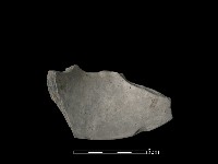 陶片藏品圖，第2張
