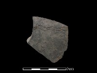 陶片藏品圖，第1張