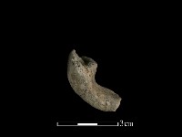 陶片藏品圖，第2張