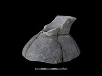 陶罐藏品圖，第2張