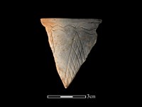 陶缽藏品圖，第1張