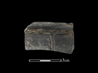 陶缽藏品圖，第1張