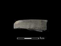 陶缽藏品圖，第1張