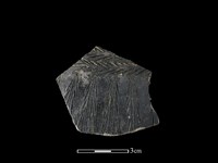 陶片藏品圖，第1張