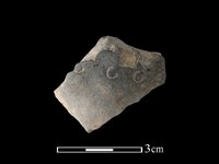 陶片藏品圖，第1張