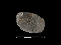 陶片藏品圖，第1張