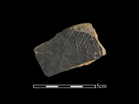 陶片藏品圖，第1張