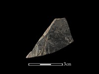 陶片藏品圖，第1張