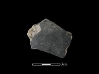 陶片藏品圖，第1張