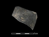 陶片藏品圖，第1張