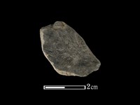 陶片藏品圖，第1張