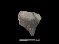 陶片藏品圖，第1張