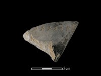 陶片藏品圖，第1張