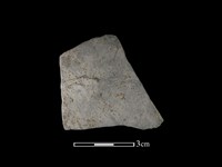 陶片藏品圖，第1張