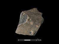 陶片藏品圖，第1張