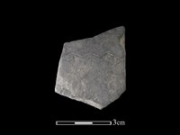 陶片藏品圖，第1張