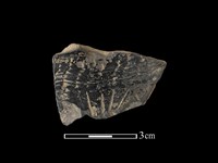 陶片藏品圖，第1張