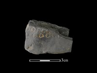 陶片藏品圖，第1張