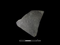 陶片藏品圖，第1張