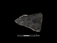 陶片藏品圖，第1張