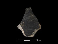 陶片藏品圖，第1張