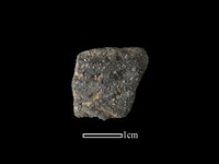 陶片藏品圖，第1張