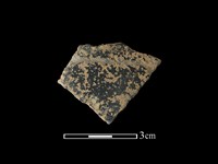 陶片藏品圖，第1張