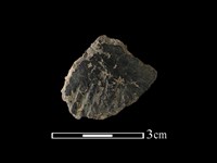 陶片藏品圖，第1張