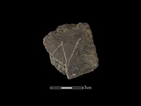 陶片藏品圖，第1張