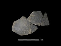 陶缽藏品圖，第1張