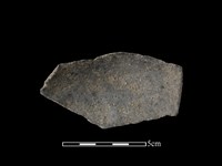 陶片藏品圖，第2張