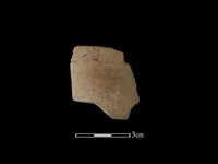 陶環藏品圖，第1張