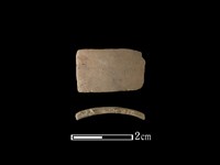 陶環藏品圖，第1張