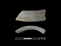 陶環藏品圖，第1張