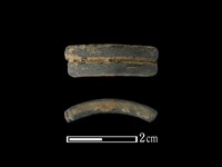 陶環藏品圖，第1張