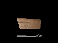 陶環藏品圖，第1張