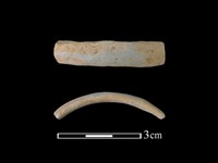 陶環藏品圖，第1張