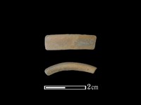 陶環藏品圖，第1張